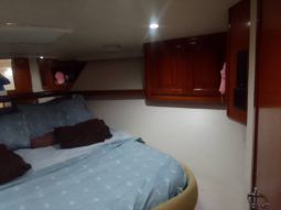 
										VIKING EXPRESS 43 full									