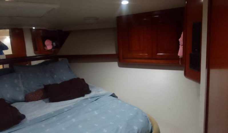 
								VIKING EXPRESS 43 full									