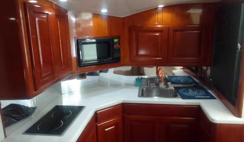 
								VIKING EXPRESS 43 full									