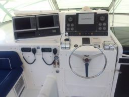 
										VIKING EXPRESS 43 full									