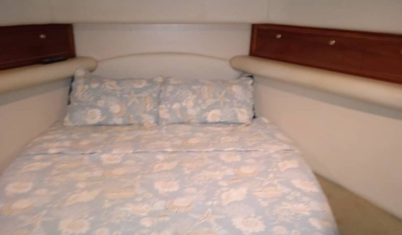
								RIVIERA 40 full									