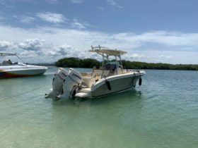 PROMARINE 24