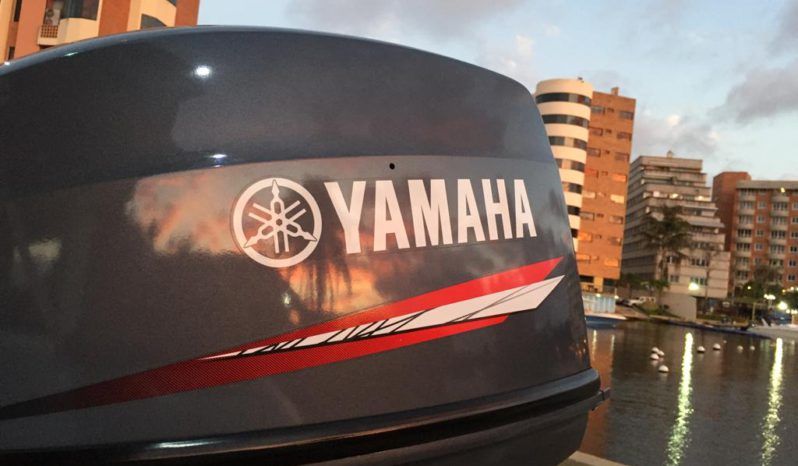
								DINGHY CARIBE DL 13 full									
