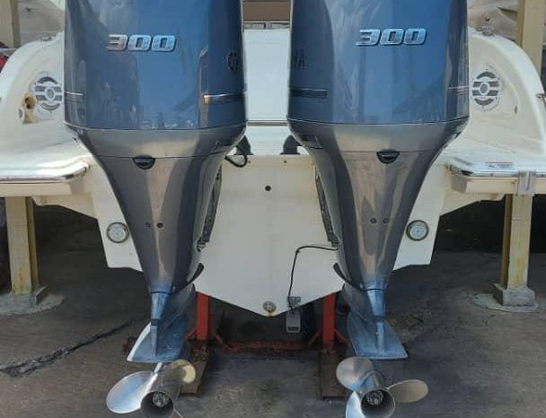 
								BARRACUDA MARINE 36 full									