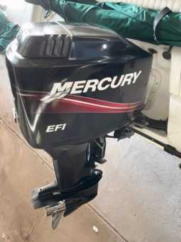 
										BOSTON WHALER DAUNTLESS 180 18.5 full									