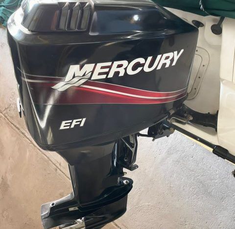 
								BOSTON WHALER DAUNTLESS 180 18.5 full									