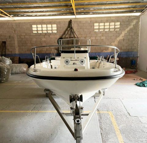
								BOSTON WHALER DAUNTLESS 180 18.5 full									