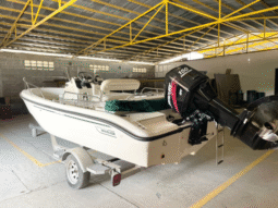 
										BOSTON WHALER DAUNTLESS 180 18.5 full									