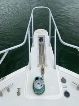 
										VIKING 58 full									