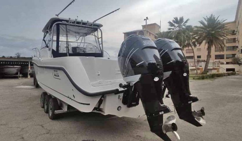 
								BOSTON WHALER 30.5 full									