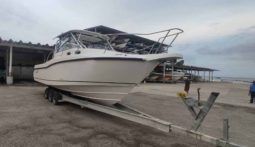 
										BOSTON WHALER 30.5 full									