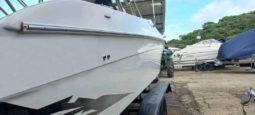 
										BLACK JACK 31.5 full									