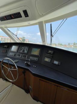 
										VIKING ENCLOSED BRIDGE 60 full									