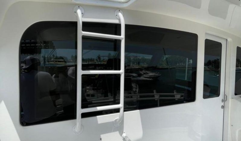 
								VIKING ENCLOSED BRIDGE 60 full									