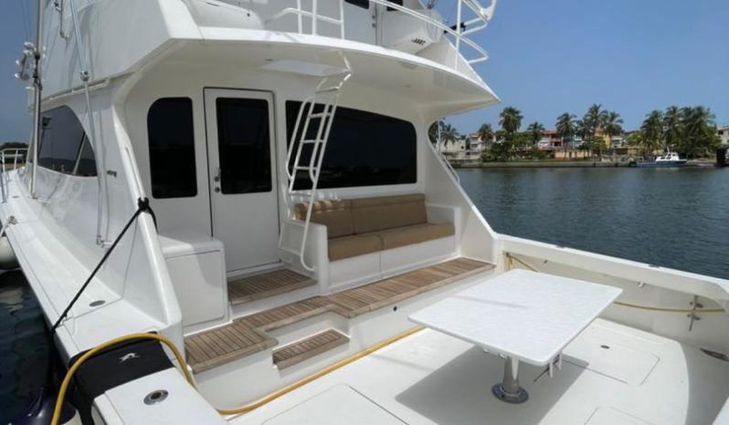 
								VIKING ENCLOSED BRIDGE 60 full									