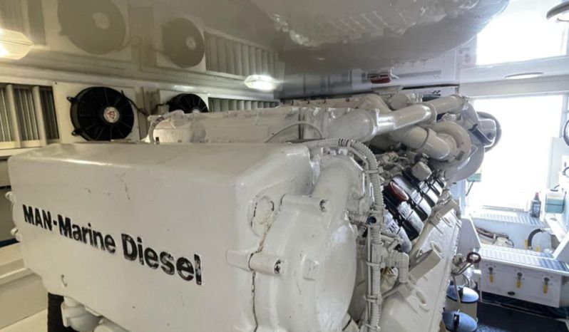 
								VIKING ENCLOSED BRIDGE 60 full									