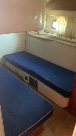 
										AZIMUT 43 full									