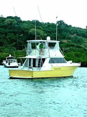 BERTRAM 42
