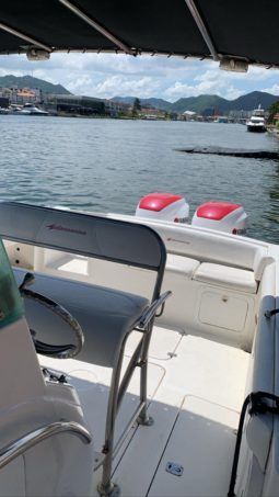 
										INTERMARINE 29 full									
