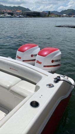 
										INTERMARINE 29 full									