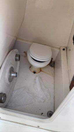 
										INTERMARINE 29 full									