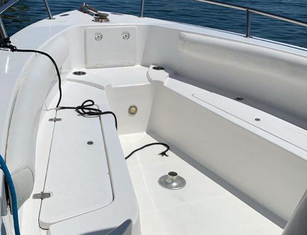 
								INTERMARINE 29 full									