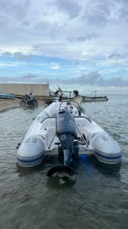 
										DINGHY CARIBE 15 full									