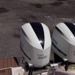 
										PROMARINE OPEN 33 full									