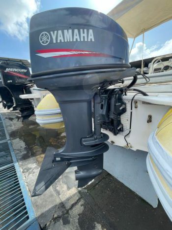 SEA RAY SEDAN BRIDGE 48