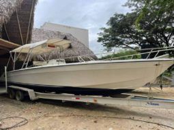 
										PROFINA OPEN 33 full									