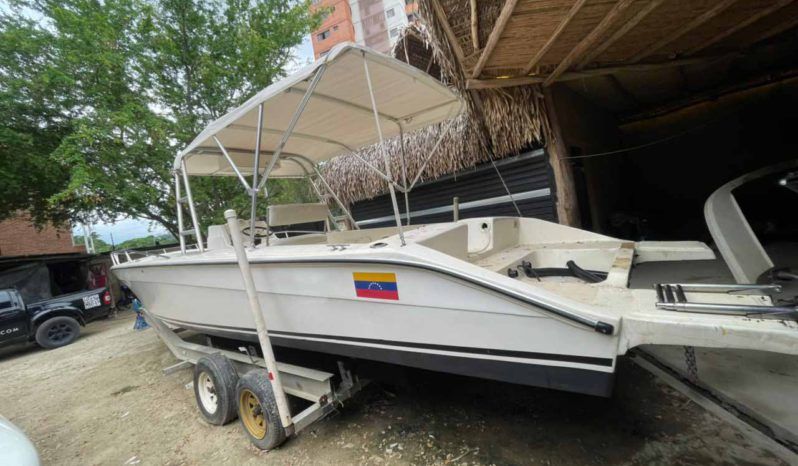 
								PROFINA OPEN 33 full									