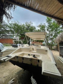
										PROFINA OPEN 33 full									