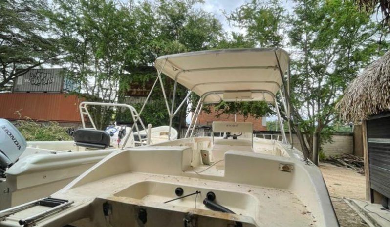 
								PROFINA OPEN 33 full									