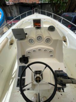 
										PROFINA OPEN 33 full									