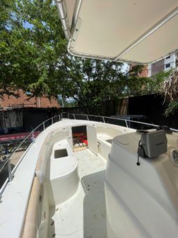 
										PROFINA OPEN 33 full									