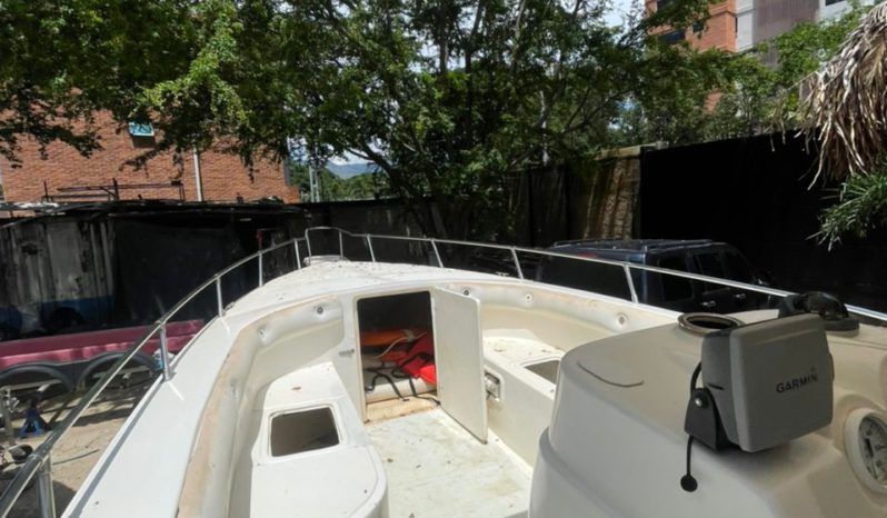 
								PROFINA OPEN 33 full									