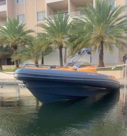 
										SACS STRIDER ESSE R 42 full									