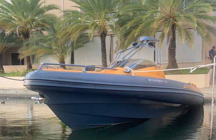 
								SACS STRIDER ESSE R 42 full									