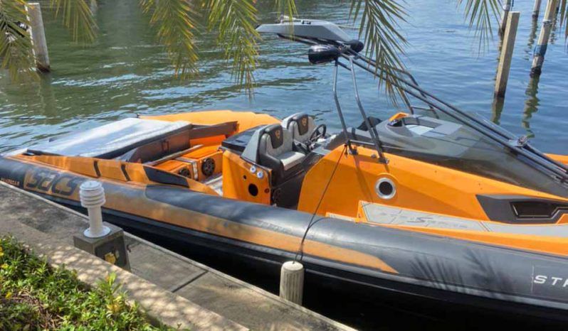 
								SACS STRIDER ESSE R 42 full									