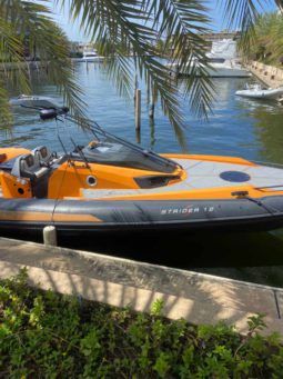 
										SACS STRIDER ESSE R 42 full									