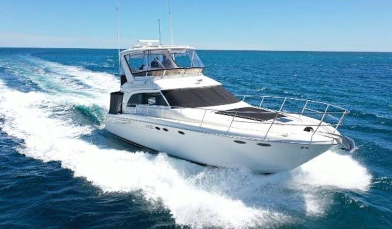 
								SEA RAY SEDAN BRIDGE 48 full									