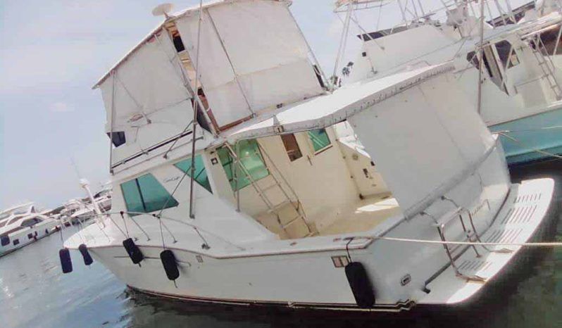 
								CHRIS CRAFT SPORTFISH 45 full									