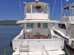 
										CHRIS CRAFT SPORTFISH 45 full									