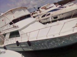 
										CHRIS CRAFT SPORTFISH 45 full									