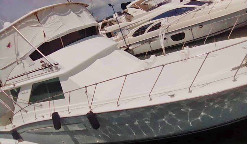 
								CHRIS CRAFT SPORTFISH 45 full									