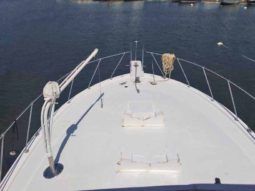 
										CHRIS CRAFT SPORTFISH 45 full									