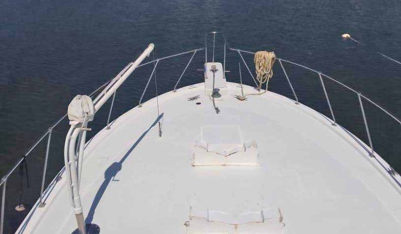 
								CHRIS CRAFT SPORTFISH 45 full									