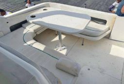 
										SEA RAY SUNDANCER 30 full									
