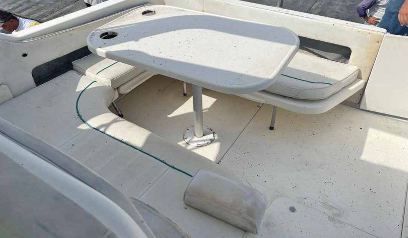 
								SEA RAY SUNDANCER 30 full									