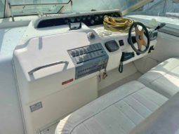 
										SEA RAY SUNDANCER 30 full									